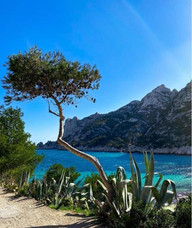 Le Cassidain - Port Et Plage - Luxious Appartement Cassis Exterior foto
